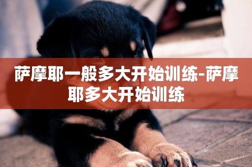 薩摩耶一般多大開始訓練-薩摩耶多大開始訓練