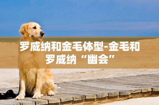 羅威納和金毛體型-金毛和羅威納“幽會”