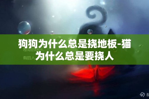 狗狗為什么總是撓地板-貓為什么總是要撓人