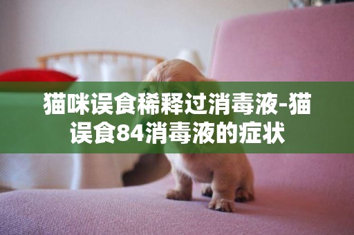 貓咪誤食稀釋過消毒液-貓誤食84消毒液的癥狀