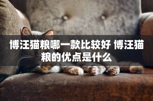 博汪貓糧哪一款比較好 博汪貓糧的優點是什么
