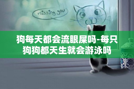 狗每天都會流眼屎嗎-每只狗狗都天生就會游泳嗎