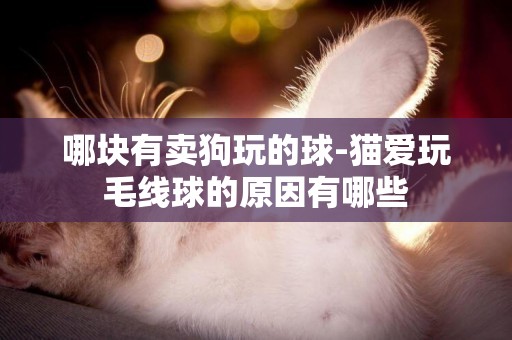 哪塊有賣狗玩的球-貓愛玩毛線球的原因有哪些