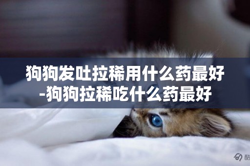 狗狗發吐拉稀用什么藥最好-狗狗拉稀吃什么藥最好