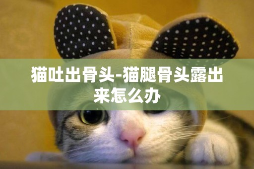 貓吐出骨頭-貓腿骨頭露出來怎么辦