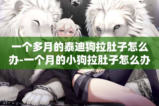 一個多月的泰迪狗拉肚子怎么辦-一個月的小狗拉肚子怎么辦