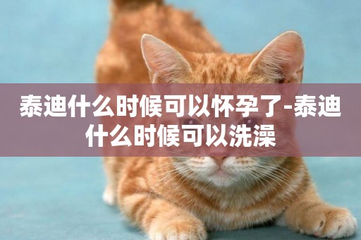 泰迪什么時候可以懷孕了-泰迪什么時候可以洗澡