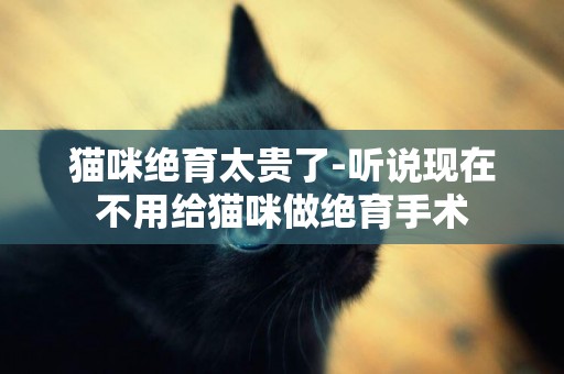 貓咪絕育太貴了-聽說現在不用給貓咪做絕育手術