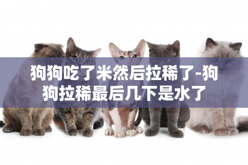 狗狗吃了米然后拉稀了-狗狗拉稀最后幾下是水了