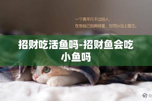 招財吃活魚嗎-招財魚會吃小魚嗎