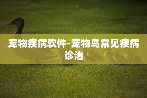 寵物疾病軟件-寵物鳥常見疾病診治