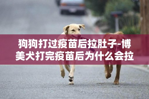 狗狗打過疫苗后拉肚子-博美犬打完疫苗后為什么會拉肚子