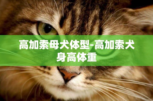 高加索母犬體型-高加索犬身高體重
