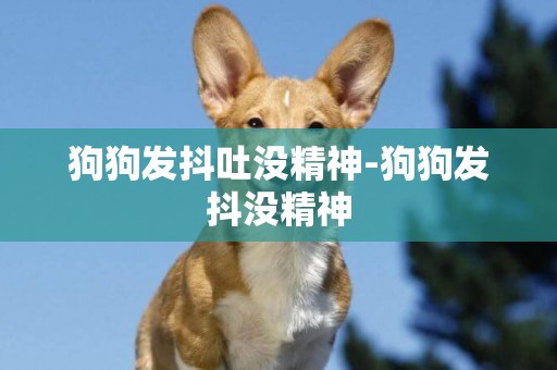 狗狗發抖吐沒精神-狗狗發抖沒精神