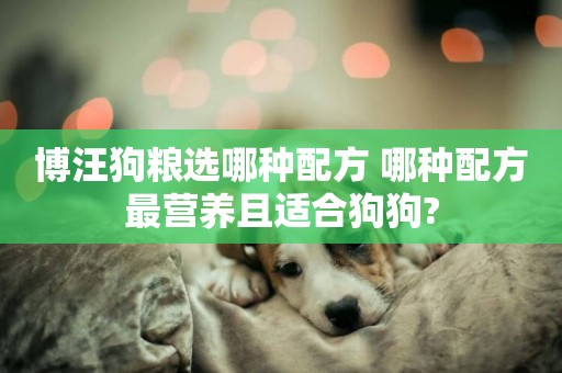 博汪狗糧選哪種配方 哪種配方最營養且適合狗狗?