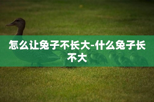怎么讓兔子不長大-什么兔子長不大