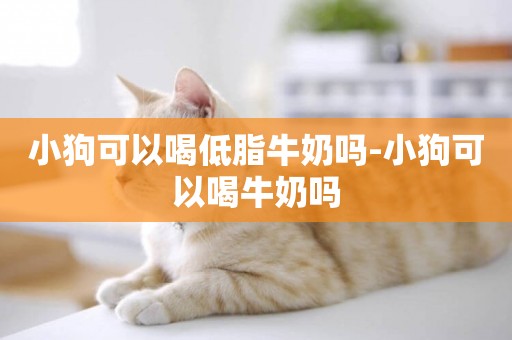 小狗可以喝低脂牛奶嗎-小狗可以喝牛奶嗎