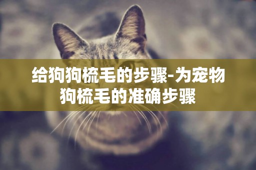 給狗狗梳毛的步驟-為寵物狗梳毛的準確步驟