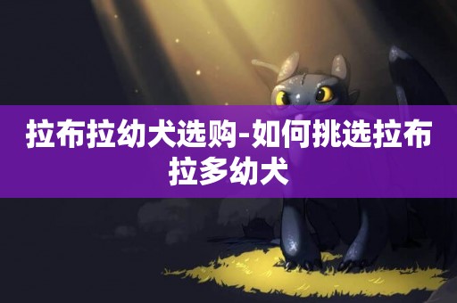 拉布拉幼犬選購-如何挑選拉布拉多幼犬
