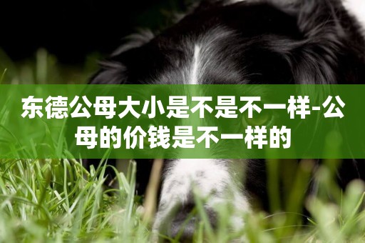東德公母大小是不是不一樣-公母的價錢是不一樣的