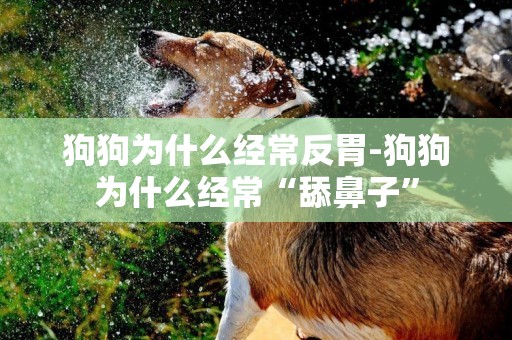 狗狗為什么經常反胃-狗狗為什么經常“舔鼻子”