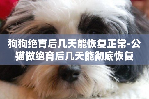 狗狗絕育后幾天能恢復正常-公貓做絕育后幾天能徹底恢復