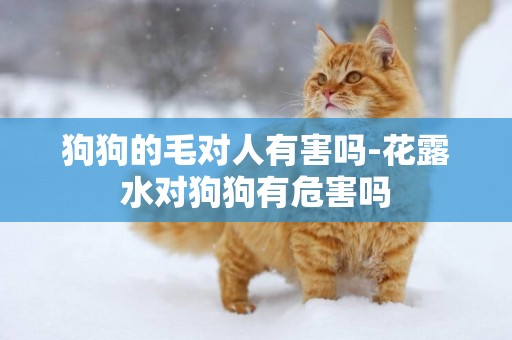 狗狗的毛對人有害嗎-花露水對狗狗有危害嗎