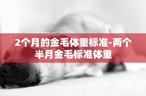2個月的金毛體重標準-兩個半月金毛標準體重