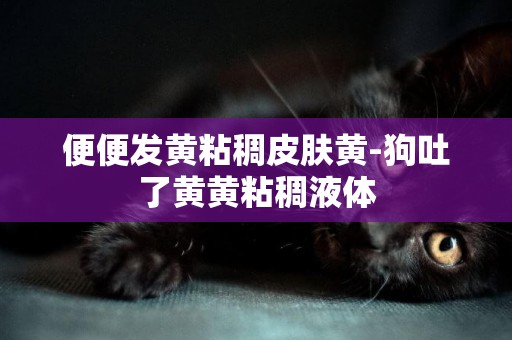 便便發黃粘稠皮膚黃-狗吐了黃黃粘稠液體