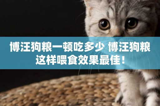 博汪狗糧一頓吃多少 博汪狗糧這樣喂食效果最佳！