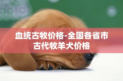 血統古牧價格-全國各省市古代牧羊犬價格