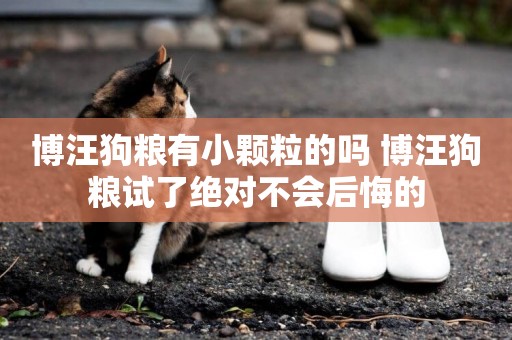 博汪狗糧有小顆粒的嗎 博汪狗糧試了絕對不會后悔的