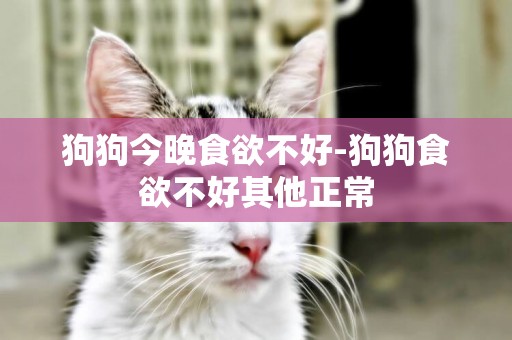 狗狗今晚食欲不好-狗狗食欲不好其他正常