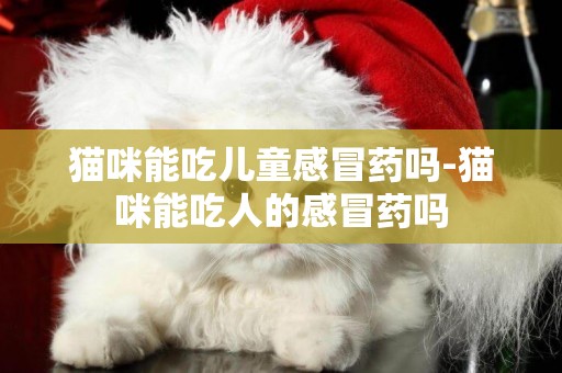 貓咪能吃兒童感冒藥嗎-貓咪能吃人的感冒藥嗎