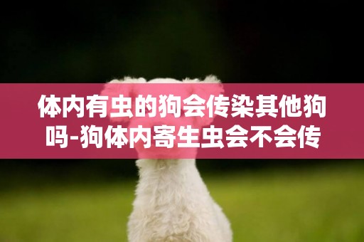 體內有蟲的狗會傳染其他狗嗎-狗體內寄生蟲會不會傳染給人