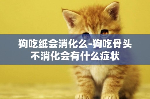 狗吃紙會消化么-狗吃骨頭不消化會有什么癥狀