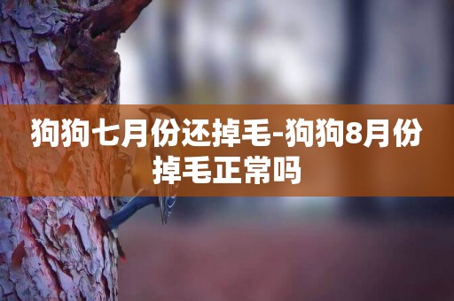 狗狗七月份還掉毛-狗狗8月份掉毛正常嗎