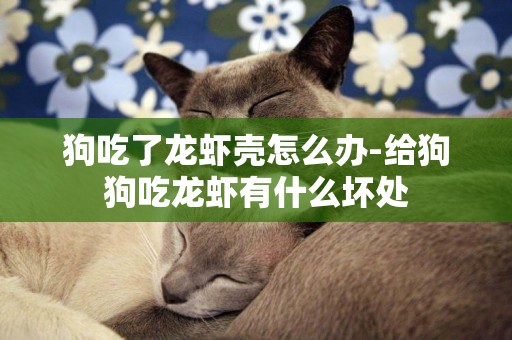 狗吃了龍蝦殼怎么辦-給狗狗吃龍蝦有什么壞處
