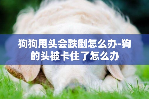 狗狗甩頭會跌倒怎么辦-狗的頭被卡住了怎么辦