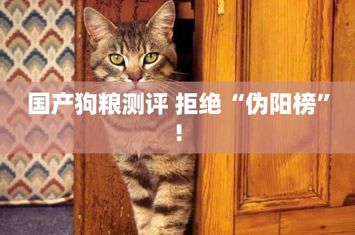 國產狗糧測評 拒絕“偽陽榜”!
