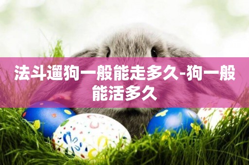 法斗遛狗一般能走多久-狗一般能活多久
