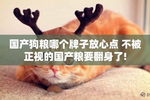 國產狗糧哪個牌子放心點 不被正視的國產糧要翻身了!