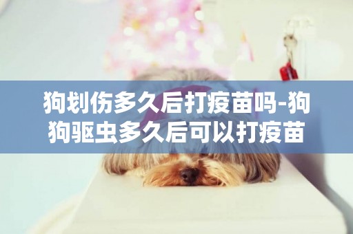 狗劃傷多久后打疫苗嗎-狗狗驅蟲多久后可以打疫苗