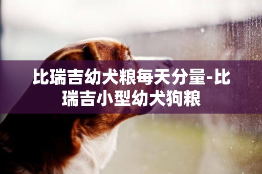 比瑞吉幼犬糧每天分量-比瑞吉小型幼犬狗糧