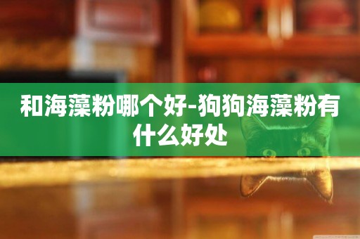 和海藻粉哪個好-狗狗海藻粉有什么好處