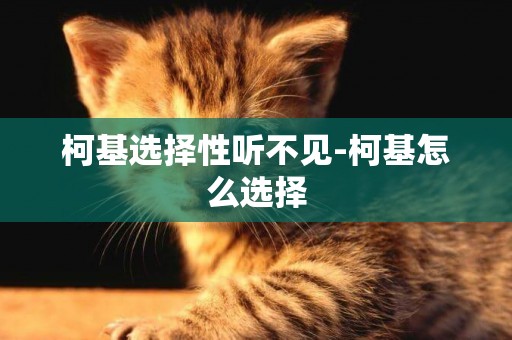 柯基選擇性聽不見-柯基怎么選擇