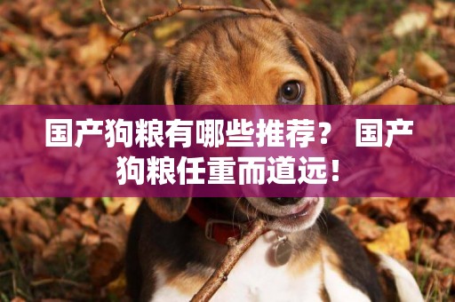 國產狗糧有哪些推薦？ 國產狗糧任重而道遠！