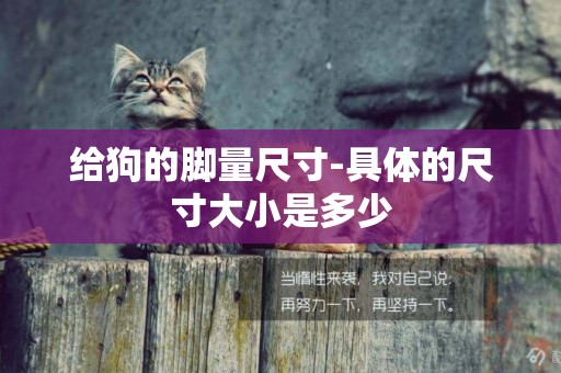 給狗的腳量尺寸-具體的尺寸大小是多少