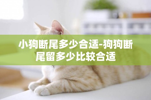小狗斷尾多少合適-狗狗斷尾留多少比較合適