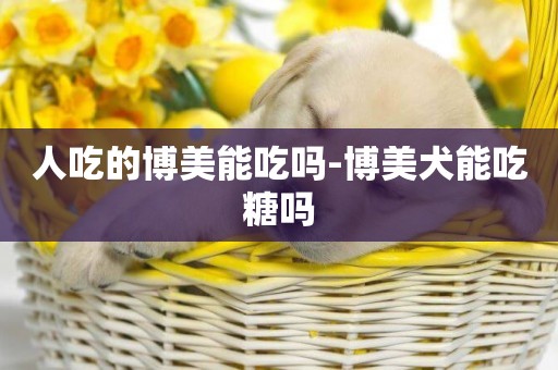 人吃的博美能吃嗎-博美犬能吃糖嗎